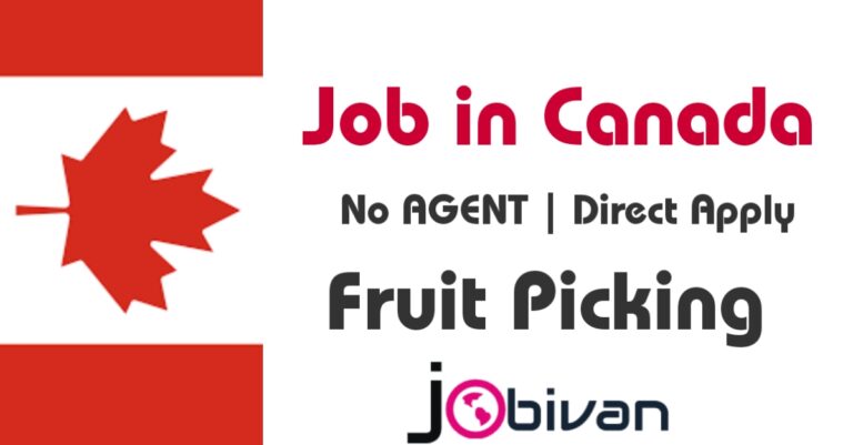 Job in Canada Fruit Picker Needed At Thwaites Farms