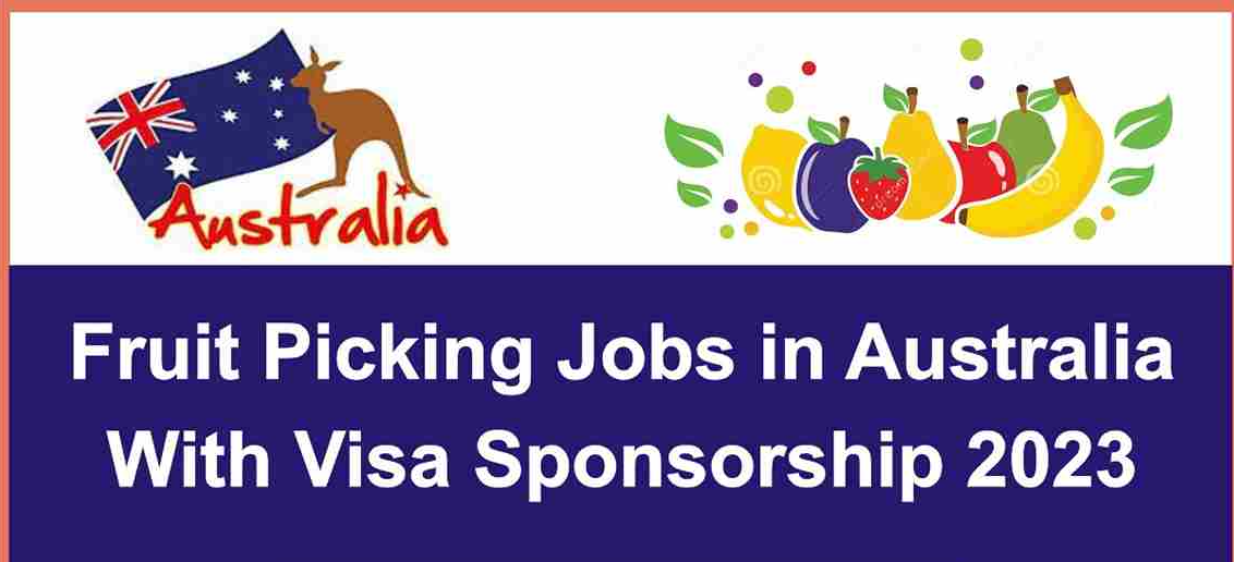 Harvest Jobs In Australia 2023