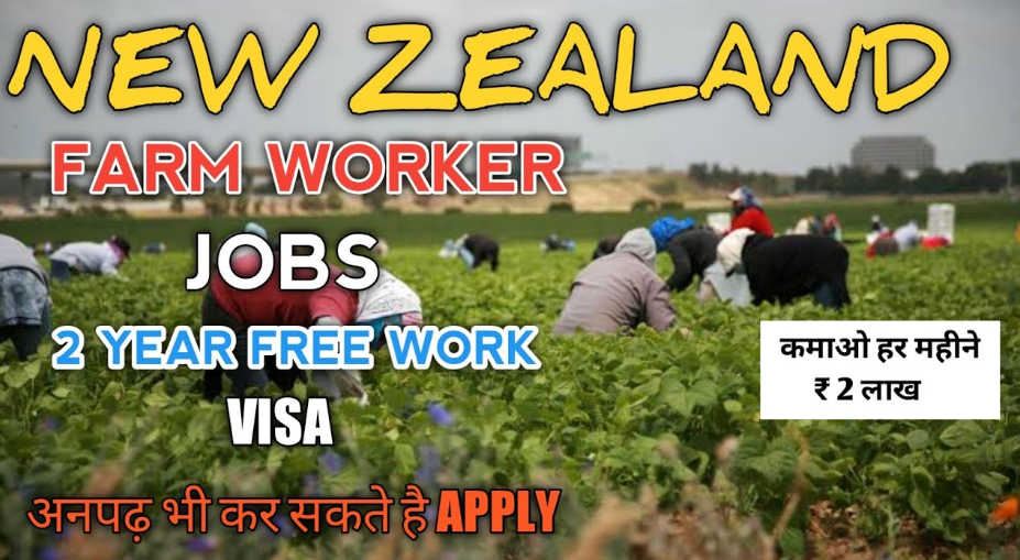 Farm Assistant Job In New Zealand 2023