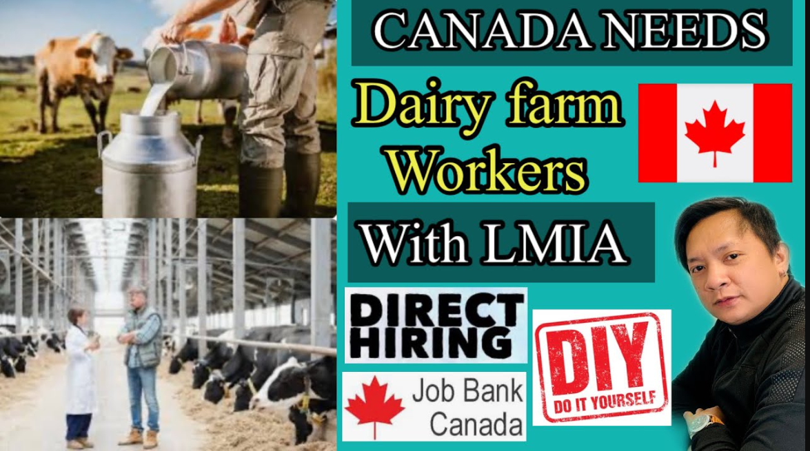 Apply For Dairy Milker in Canada 2023