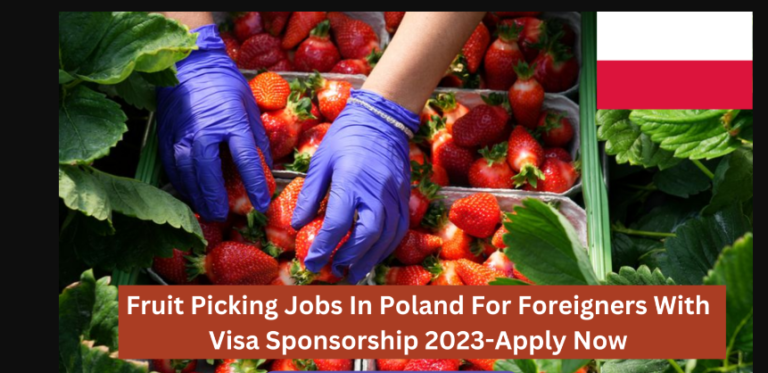 Fruit Picking Jobs in Poland for Foreigners