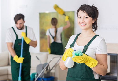 Cleaner, Light Duty Job In Canada