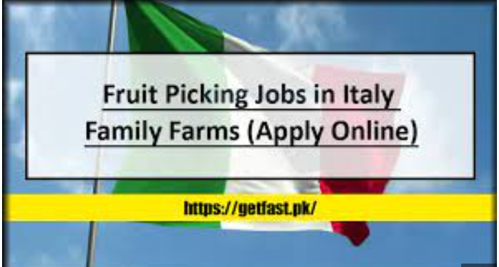 Seasonal Farm Worker and Fruit Picking Jobs in Italy 2023 | Apply Now