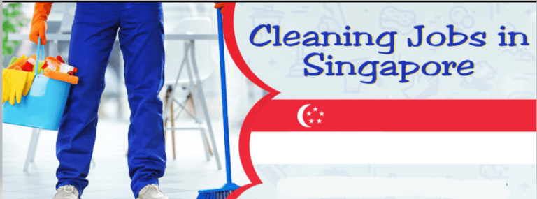 singapore cleaners