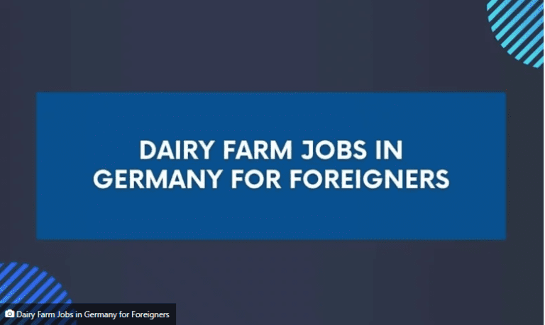 Dairy Farm Jobs in Germany for Foreigners 2024 – Apply Now