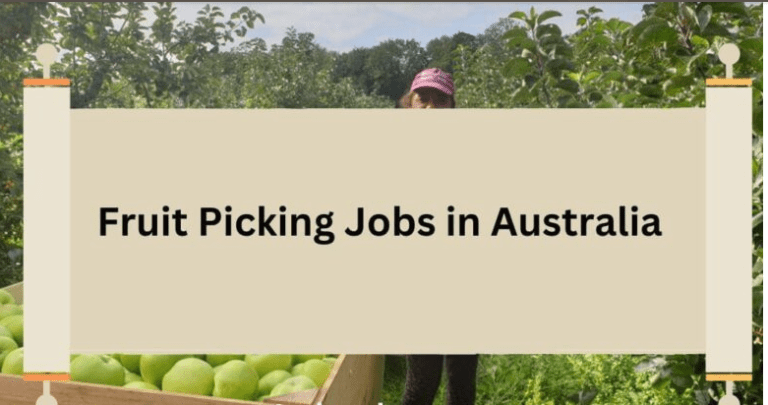 fruit picking jobs in australia for foreigners with visa sponsorship