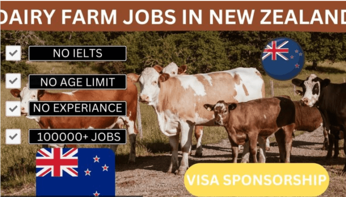 Dairy Farming Jobs in Australia 2024 with Visa Sponsorship