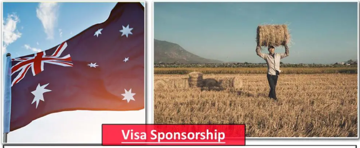 Farm Hand Jobs in Australia with Visa Sponsorship (Accommodation on site)Farm Hand Jobs in Australia with Visa Sponsorship (Accommodation on site)
