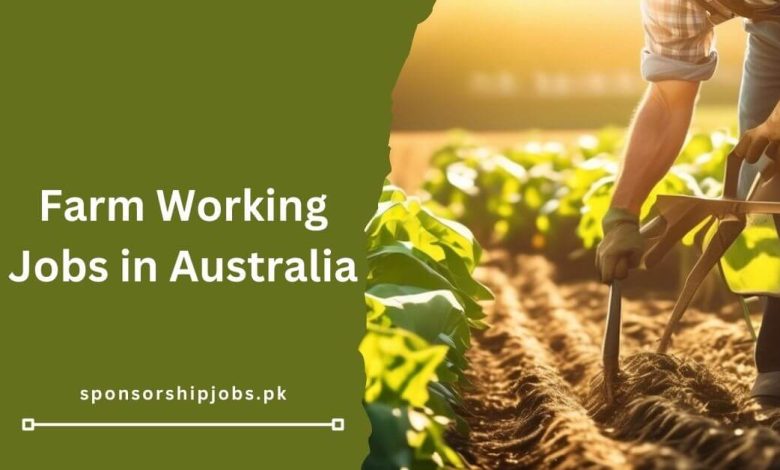 Latest Farm Working Jobs in Australia – Visa Sponsorship